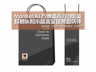 项目名称十四