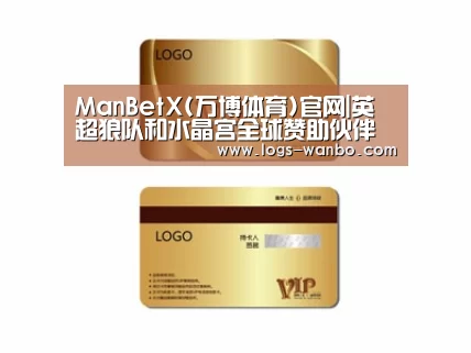 项目名称三