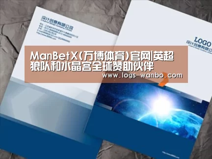 项目名称十