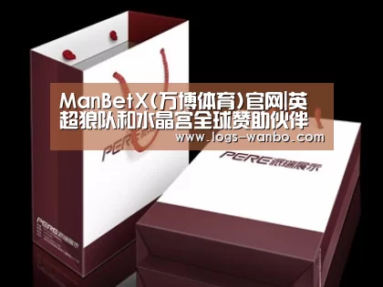 项目名称十二