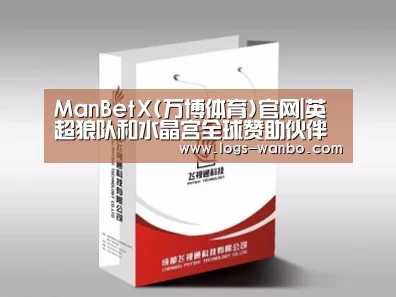 项目名称十三