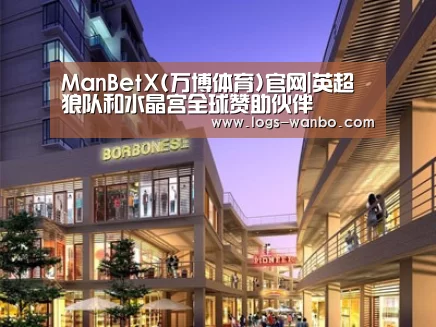 案例展示一
