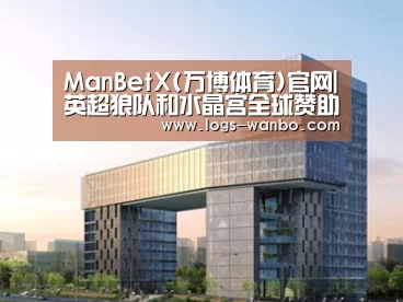 案例展示四
