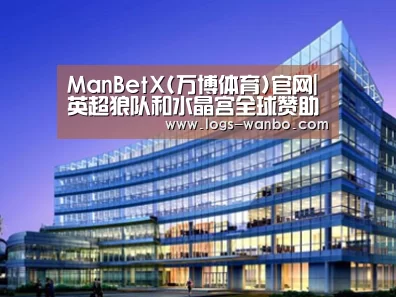 案例展示五