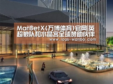 案例展示二